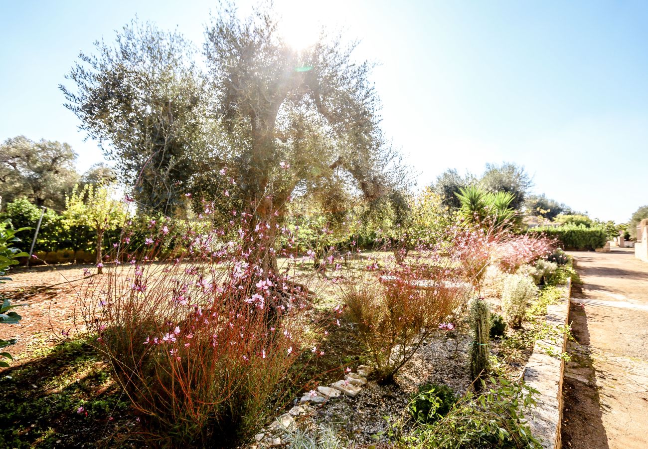 Villa a San Michele Salentino - Ellea by Pugliadamare