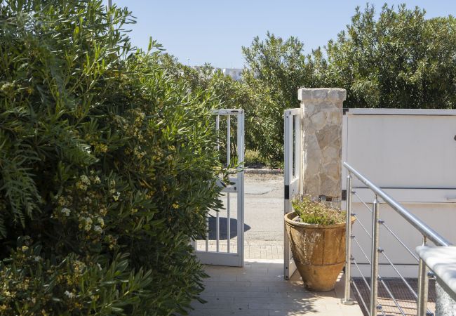 Appartamento a Carovigno - Casa Terrazzina di Pugliadamare Appartamento a Carovigno - Casa Terrazzina di Pugliadamare