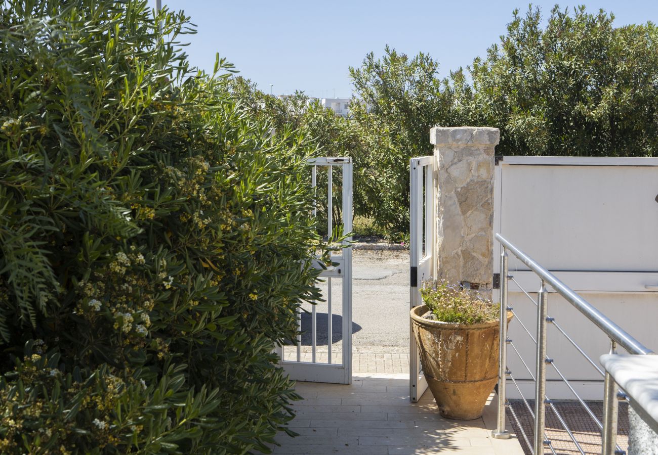 Appartamento a Carovigno - Casa Terrazzina di Pugliadamare