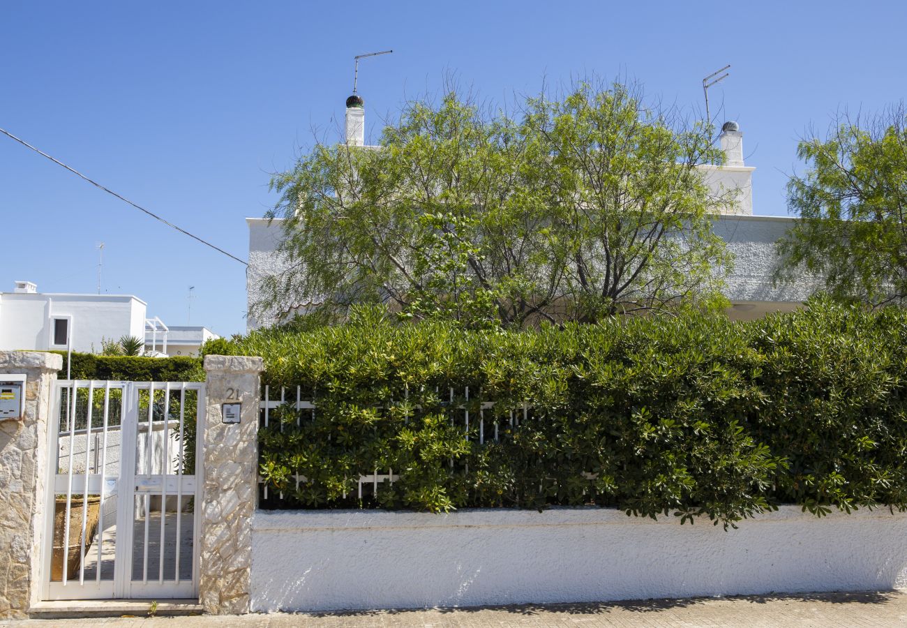 Appartamento a Carovigno - Casa Terrazzina di Pugliadamare