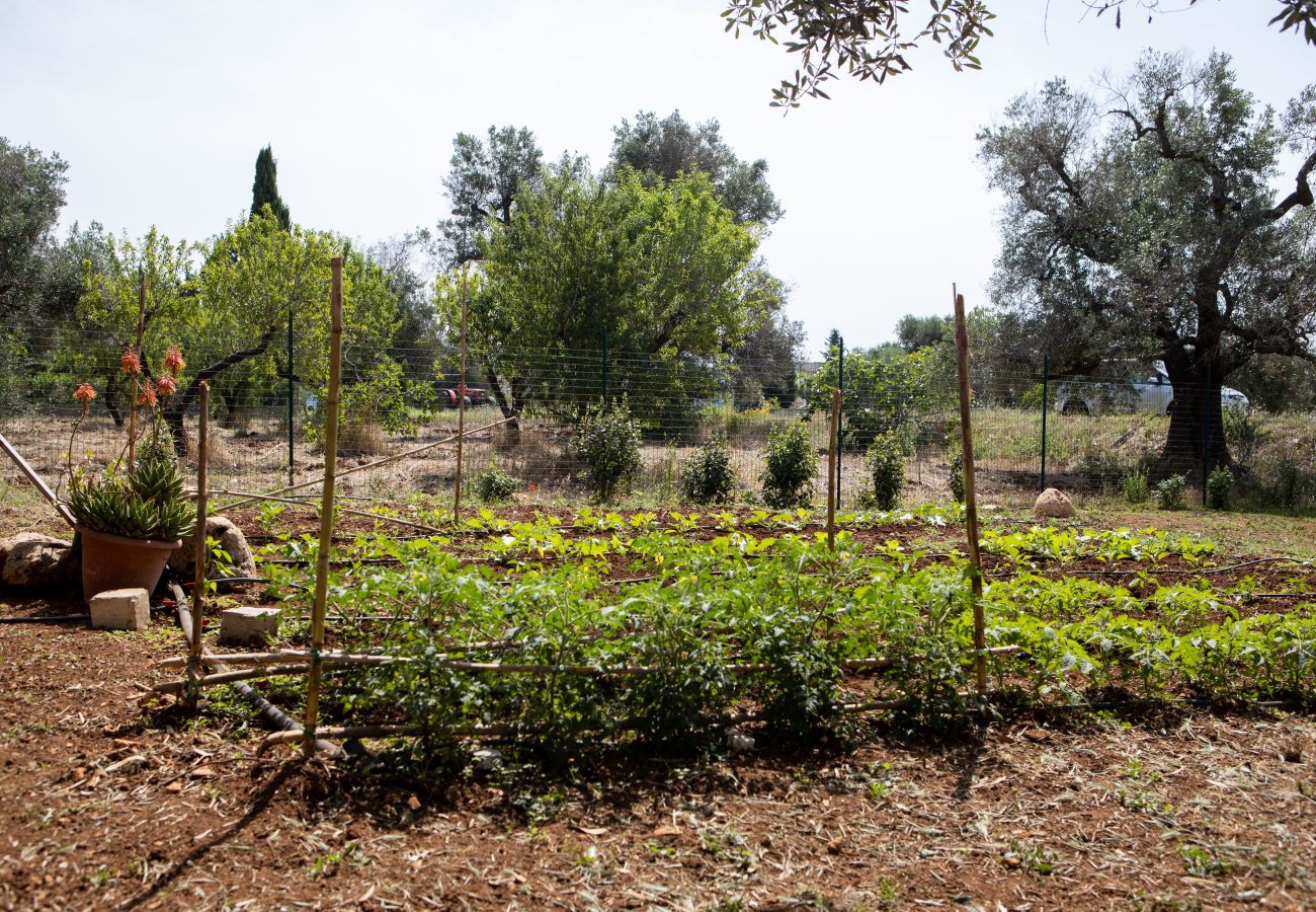 Trullo a Ceglie Messapica - Trullo nonna Netta by pugliadamare