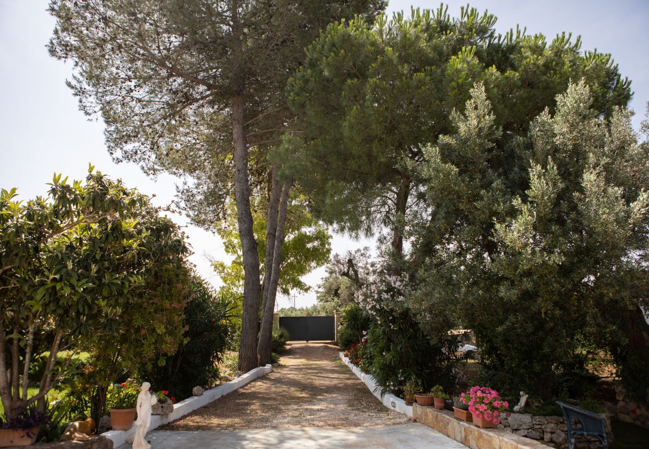 Trullo a Ceglie Messapica - Trullo nonna Netta by pugliadamare
