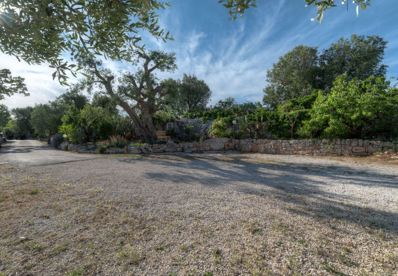 Trullo a Ostuni - Trullo Paan by Pugliadamare