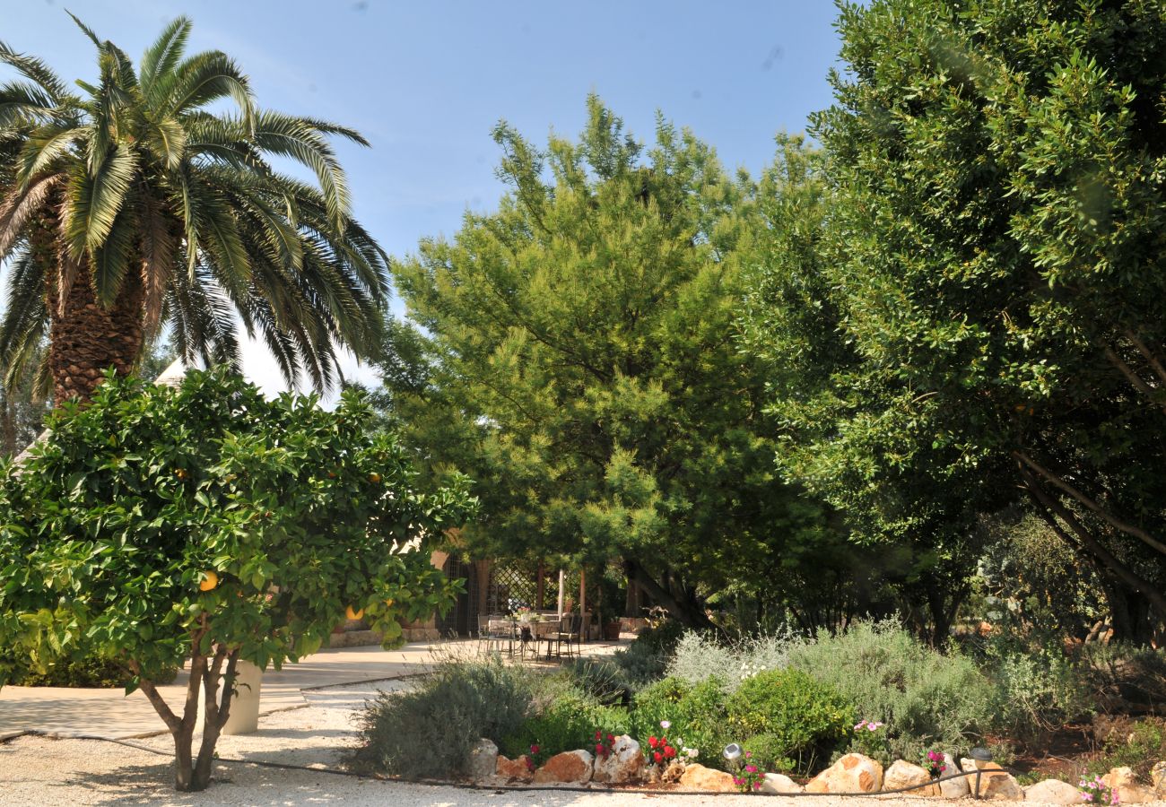 Trullo a San Michele Salentino - trulli mimosa by pugliadamare