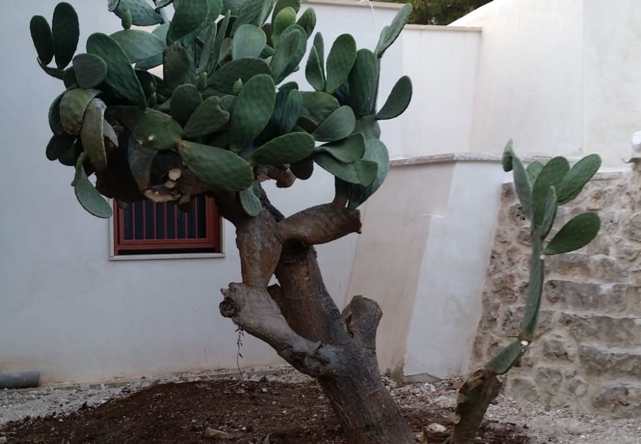 Trullo a Ceglie Messapica - Trullo Sotto le Stelle by Pugliadamare
