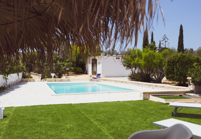 Trullo a San Vito dei Normanni - borgo della mimosa Trullo a San Vito dei Normanni - borgo della mimosa