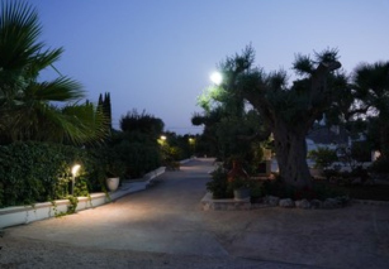 Trullo a San Vito dei Normanni - borgo della mimosa