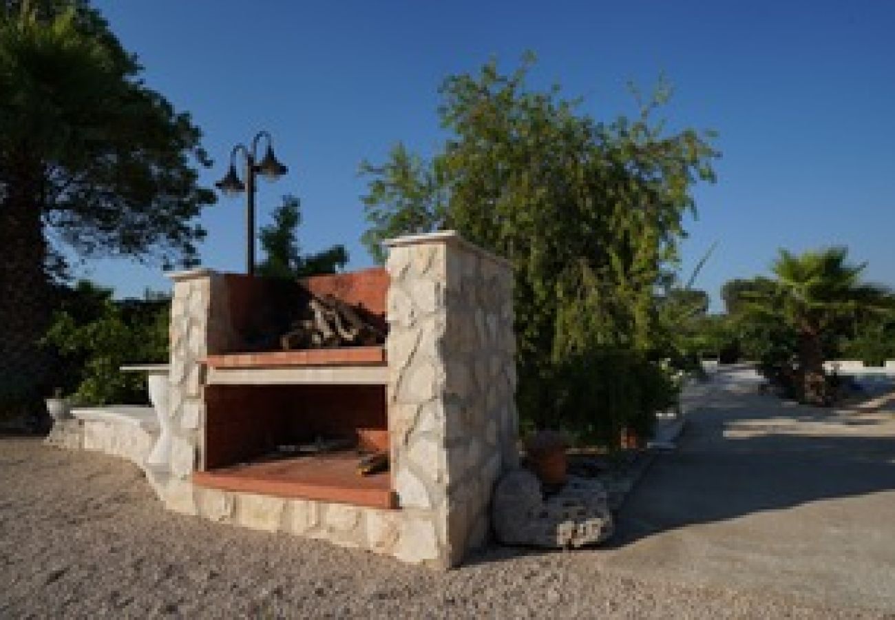 Trullo a San Vito dei Normanni - borgo della mimosa