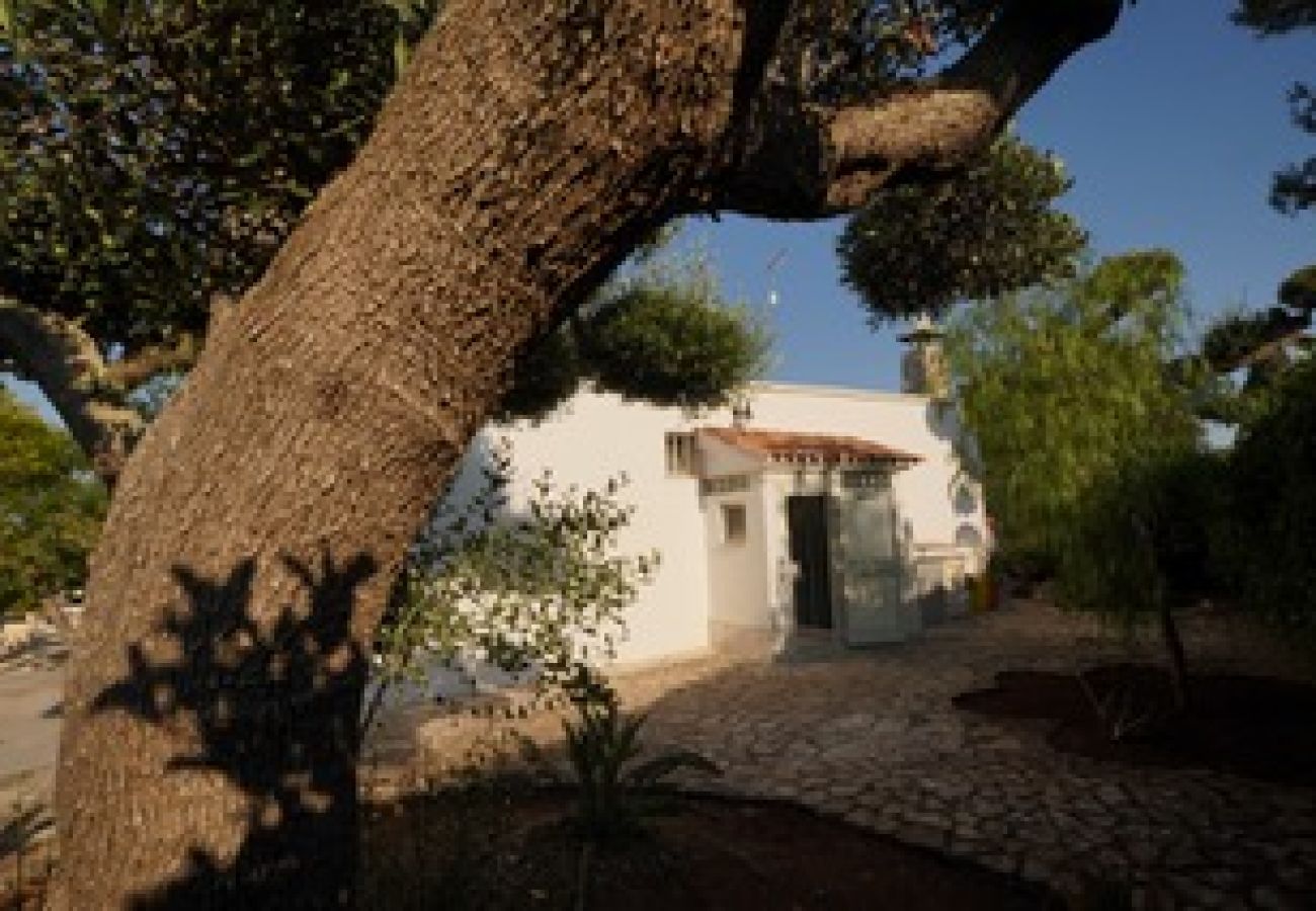 Trullo a San Vito dei Normanni - borgo della mimosa