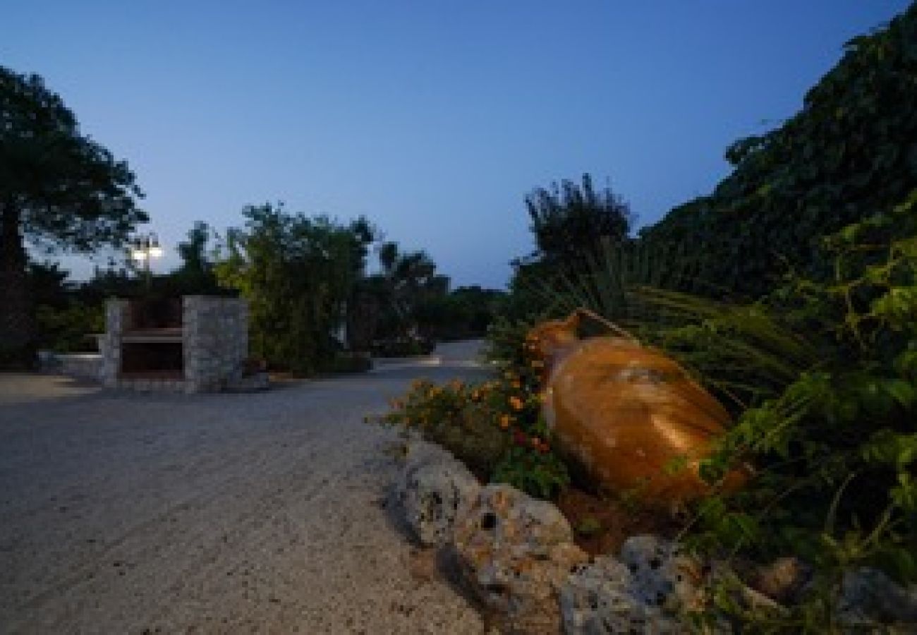 Trullo a San Vito dei Normanni - borgo della mimosa