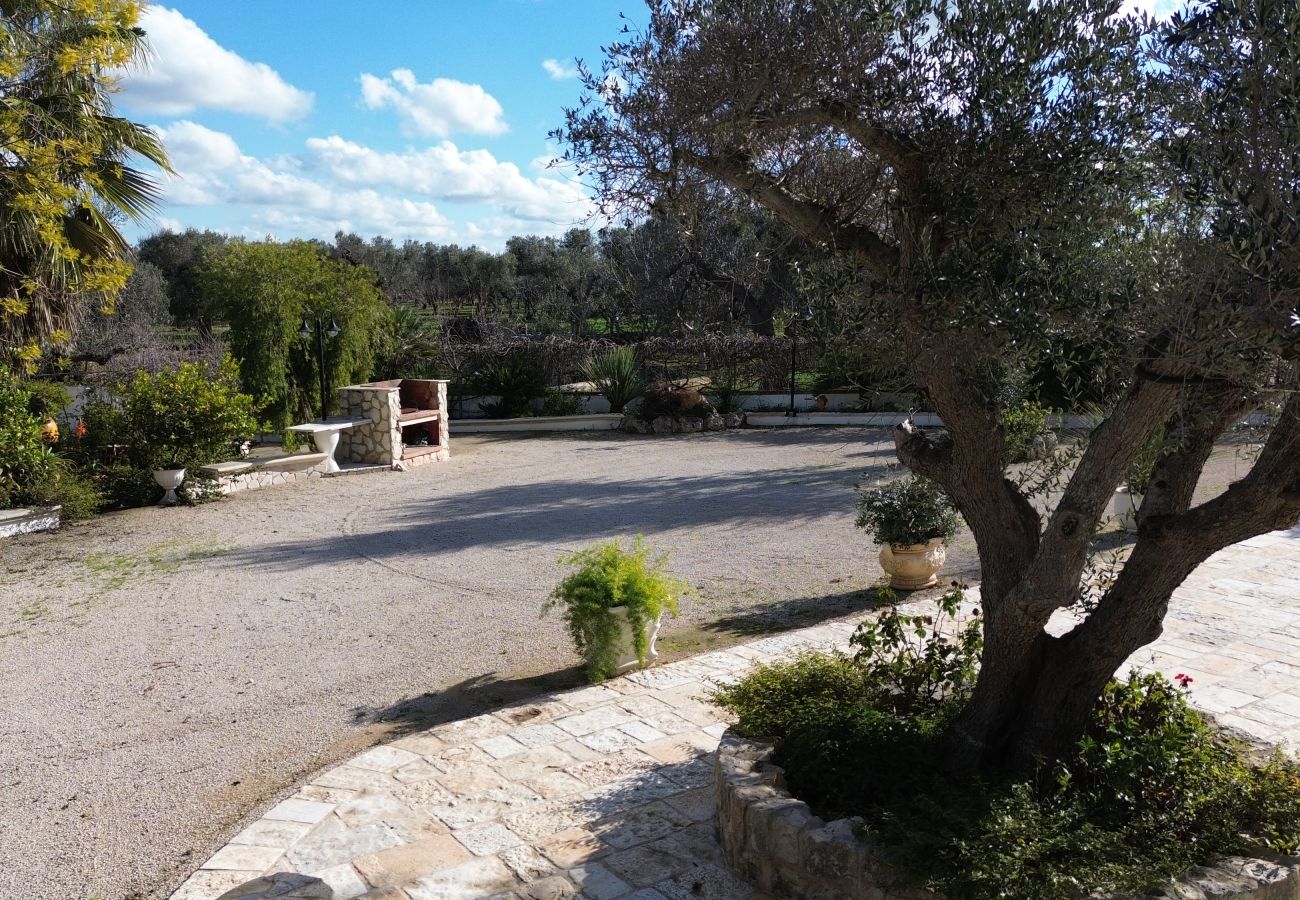 Trullo a San Vito dei Normanni - borgo della mimosa