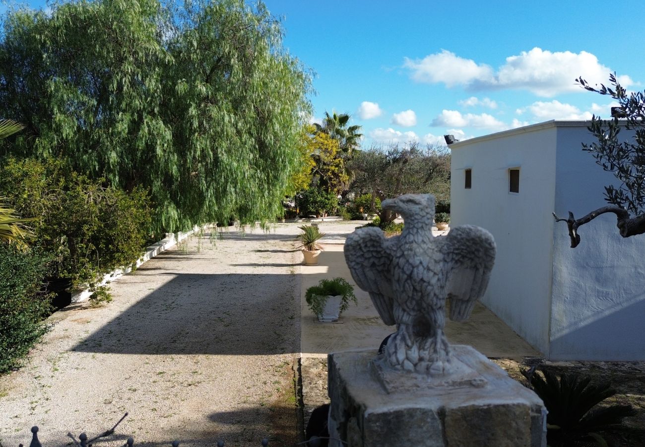 Trullo a San Vito dei Normanni - borgo della mimosa