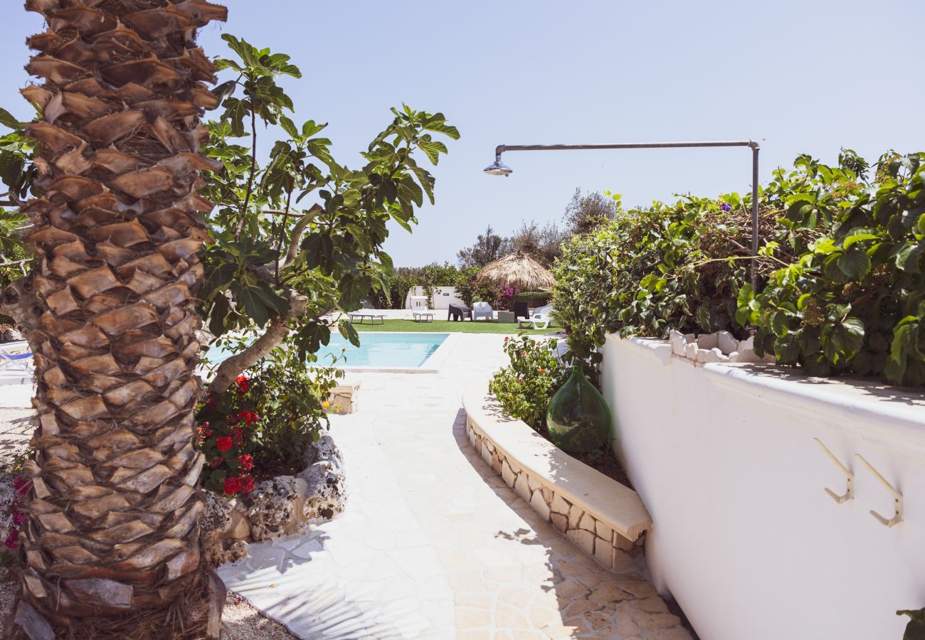 Trullo a San Vito dei Normanni - borgo della mimosa