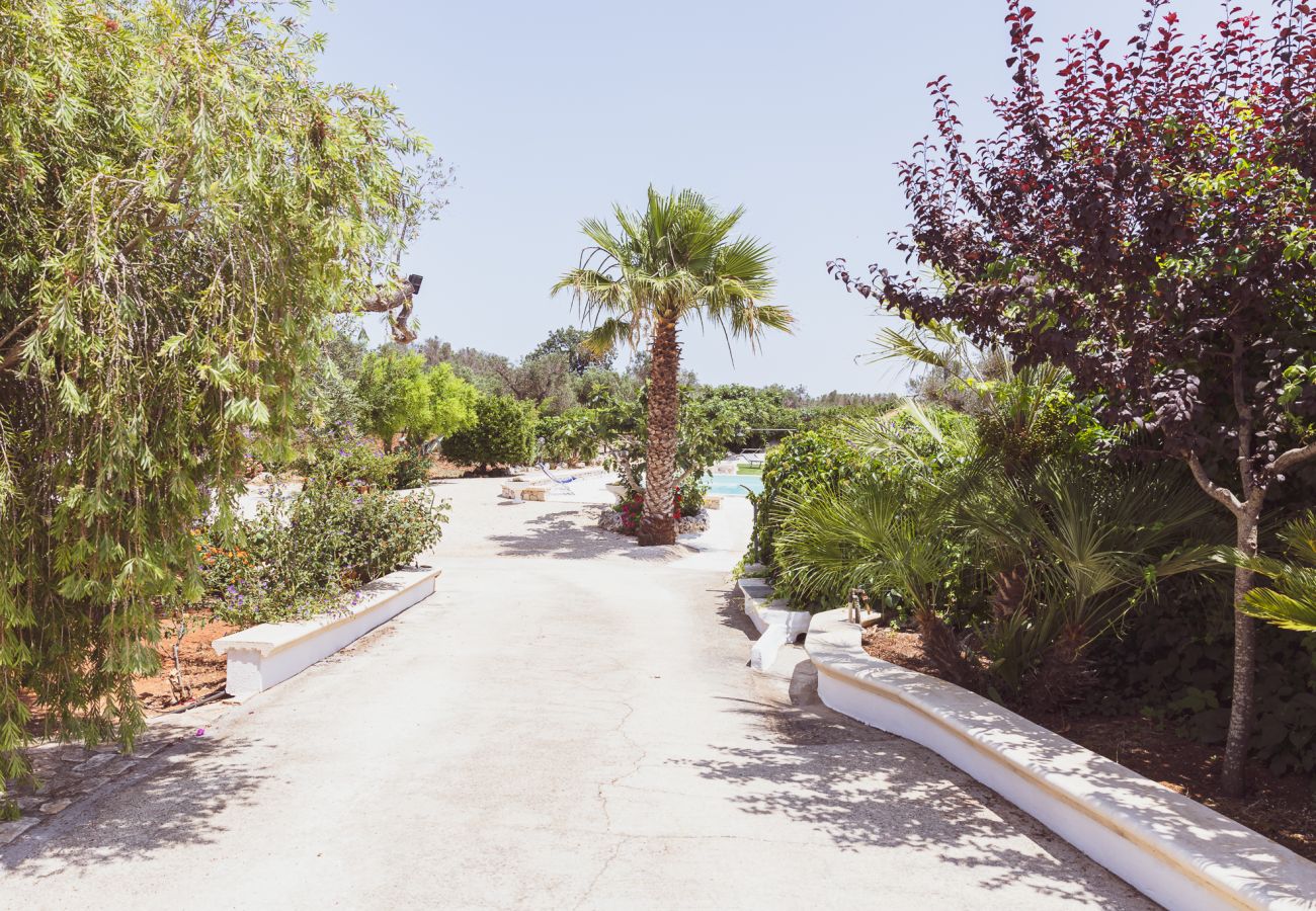 Trullo a San Vito dei Normanni - borgo della mimosa