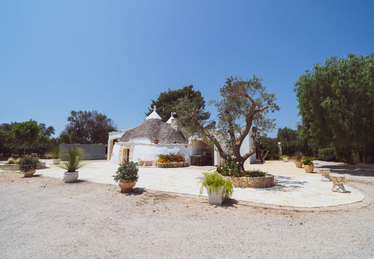 Trullo a San Vito dei Normanni - borgo della mimosa