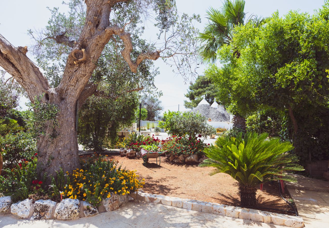 Trullo a San Vito dei Normanni - borgo della mimosa