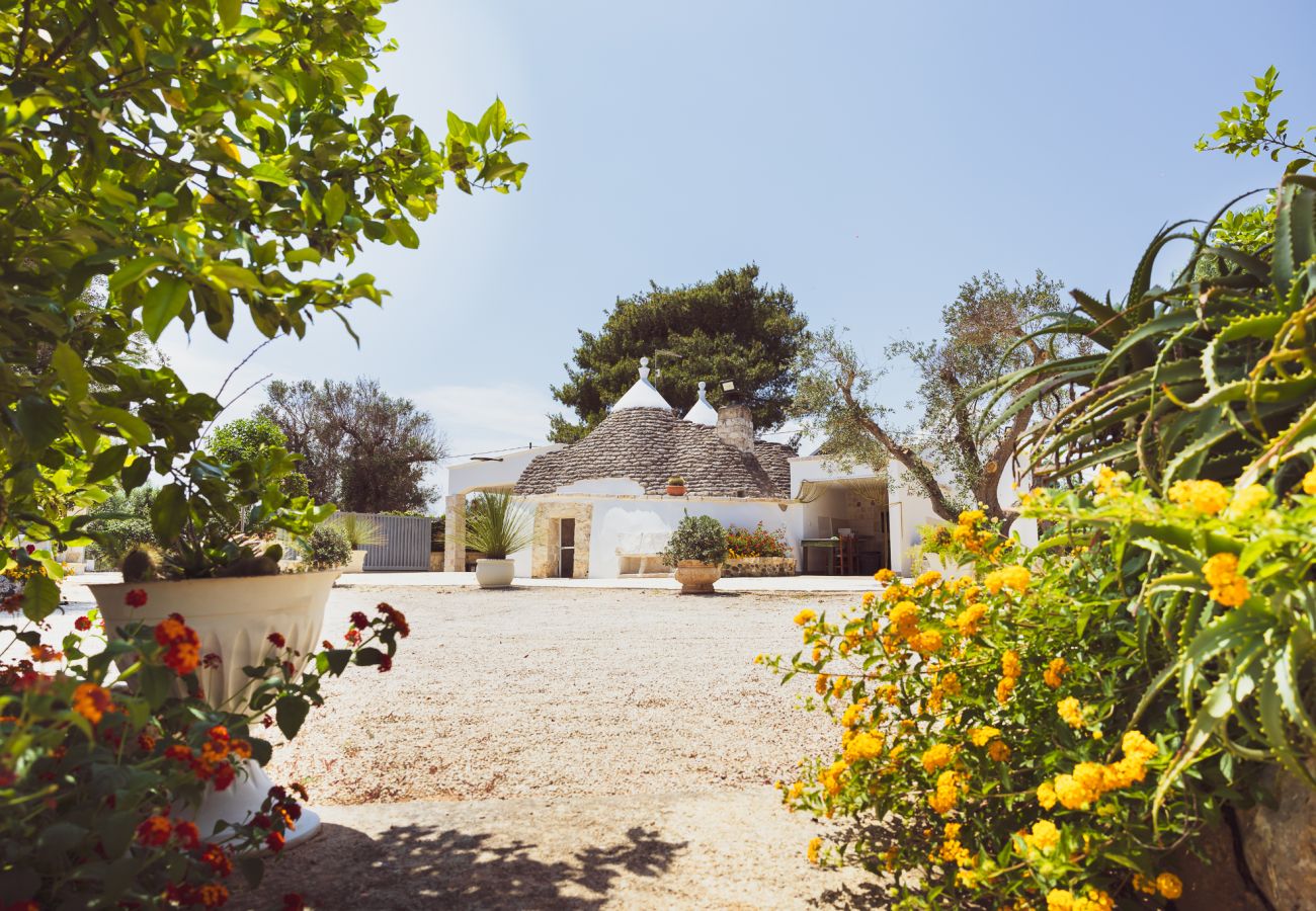 Trullo a San Vito dei Normanni - borgo della mimosa