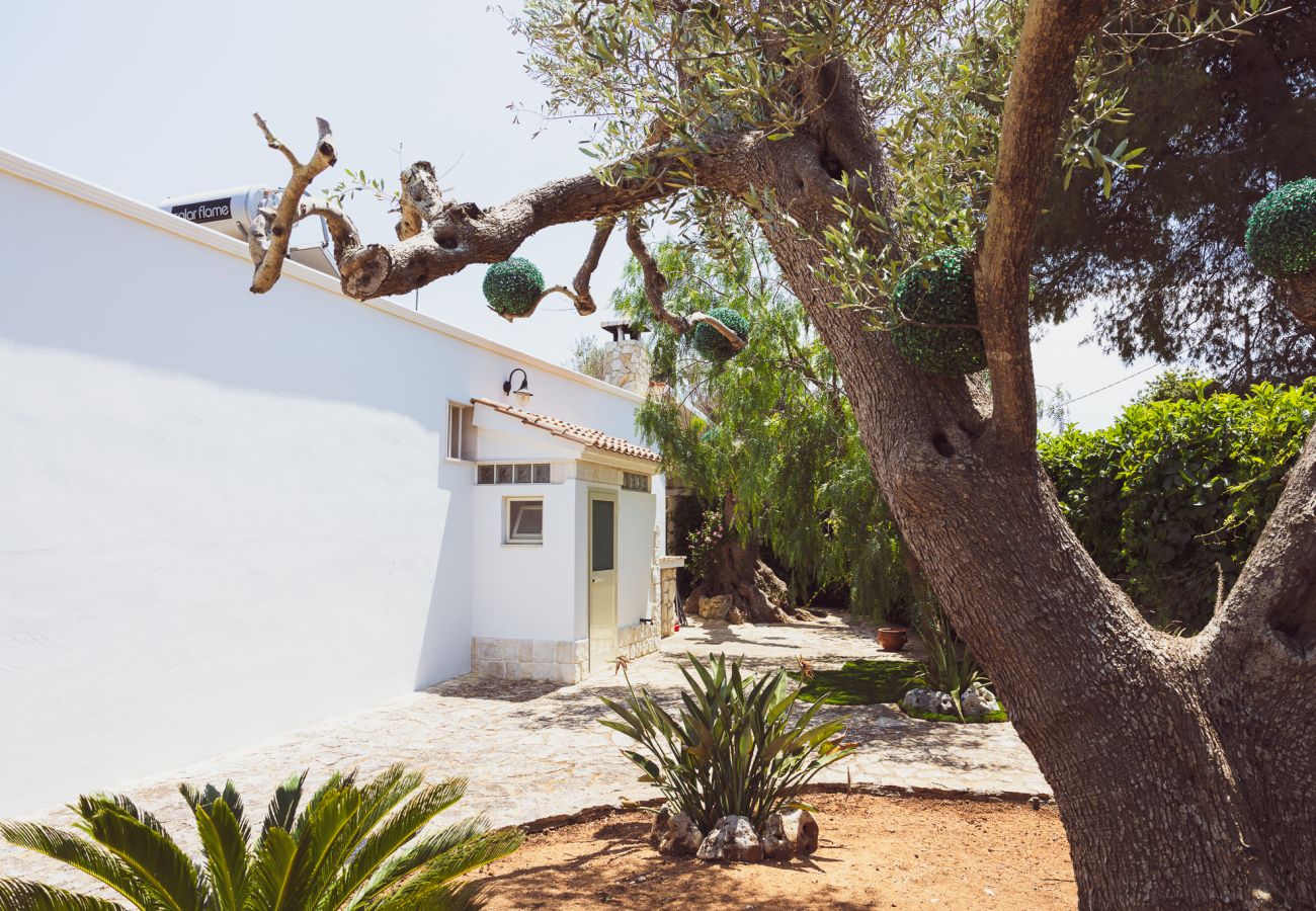 Trullo a San Vito dei Normanni - borgo della mimosa