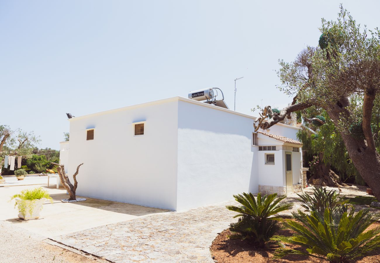 Trullo a San Vito dei Normanni - borgo della mimosa
