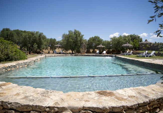 Casa rurale a Francavilla Fontana - Masseria Palmo by Pugliadamare Casa rurale a Francavilla Fontana - Masseria Palmo by Pugliadamare