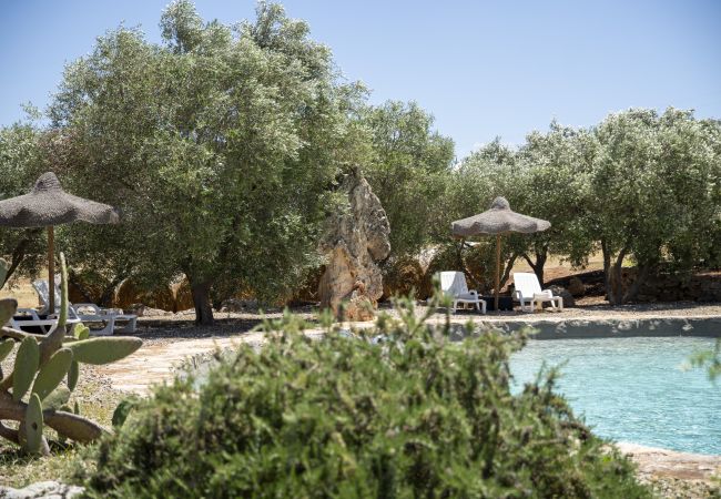 Casa rurale a Francavilla Fontana - Masseria Palmo by Pugliadamare Casa rurale a Francavilla Fontana - Masseria Palmo by Pugliadamare