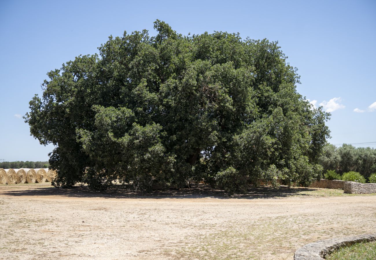 Casa rurale a Francavilla Fontana - Masseria Palmo by Pugliadamare