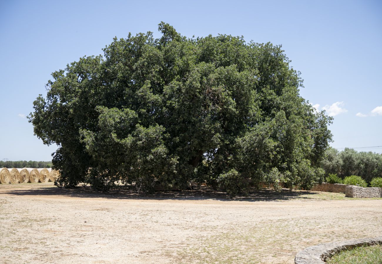 Casa rurale a Francavilla Fontana - Masseria Palmo by Pugliadamare