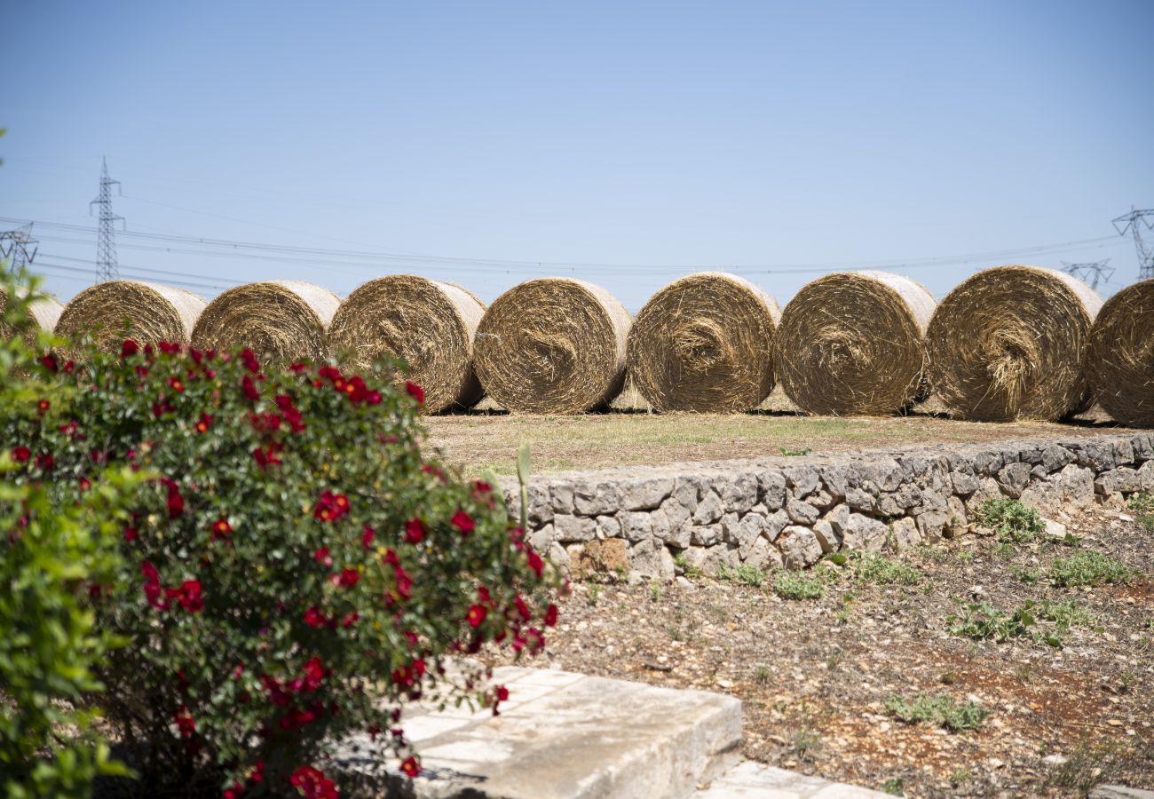 Casa rurale a Francavilla Fontana - Masseria Palmo by Pugliadamare