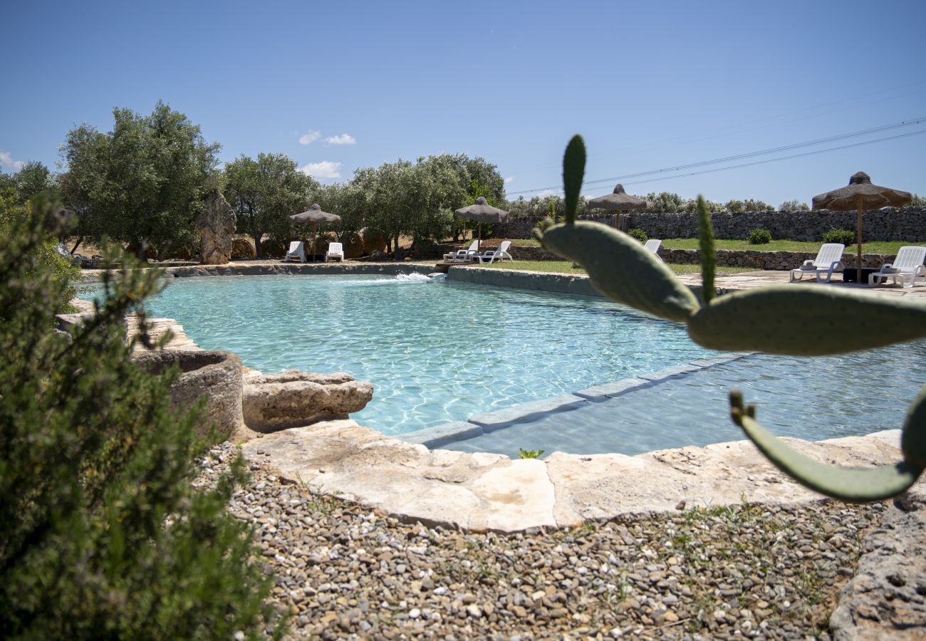 Casa rurale a Francavilla Fontana - Agrumeto -  stanze in Masseria Palmo