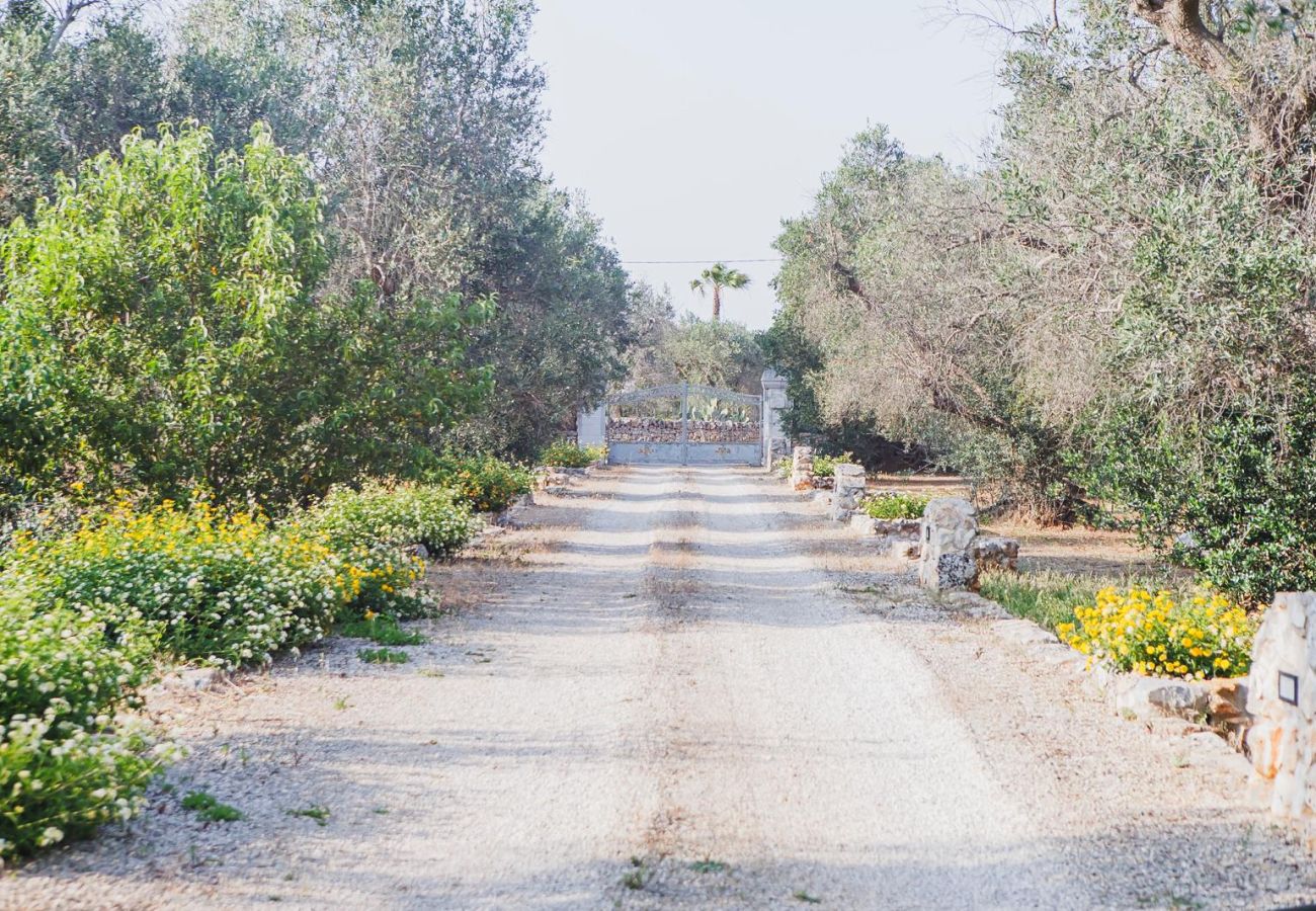 Trullo a Ceglie Messapica - Trullo Isabella by Pugliadamare