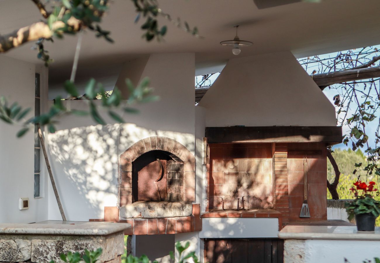 Trullo a Ceglie Messapica - Trullo Cinque Punte