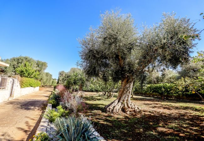 Villa in San Michele Salentino - Ellea by Pugliadamare Villa in San Michele Salentino - Ellea by Pugliadamare
