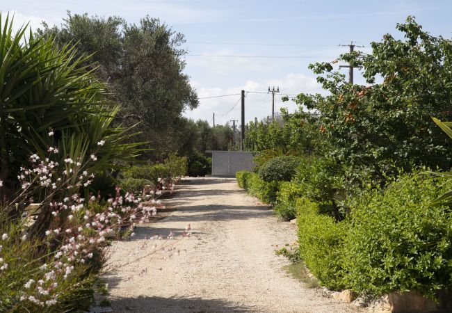 Trullo in San Vito dei Normanni - trullo oron call by pugliadamare Trullo in San Vito dei Normanni - trullo oron call by pugliadamare