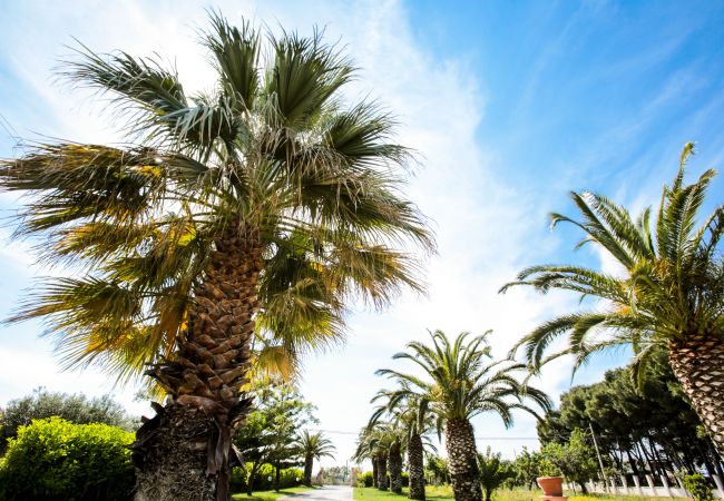 Villa in Ostuni - Private villa in Ostuni, private pool and satellite wifi by Pugliadamare Villa in Ostuni - Private villa in Ostuni, private pool and satellite wifi by Pugliadamare