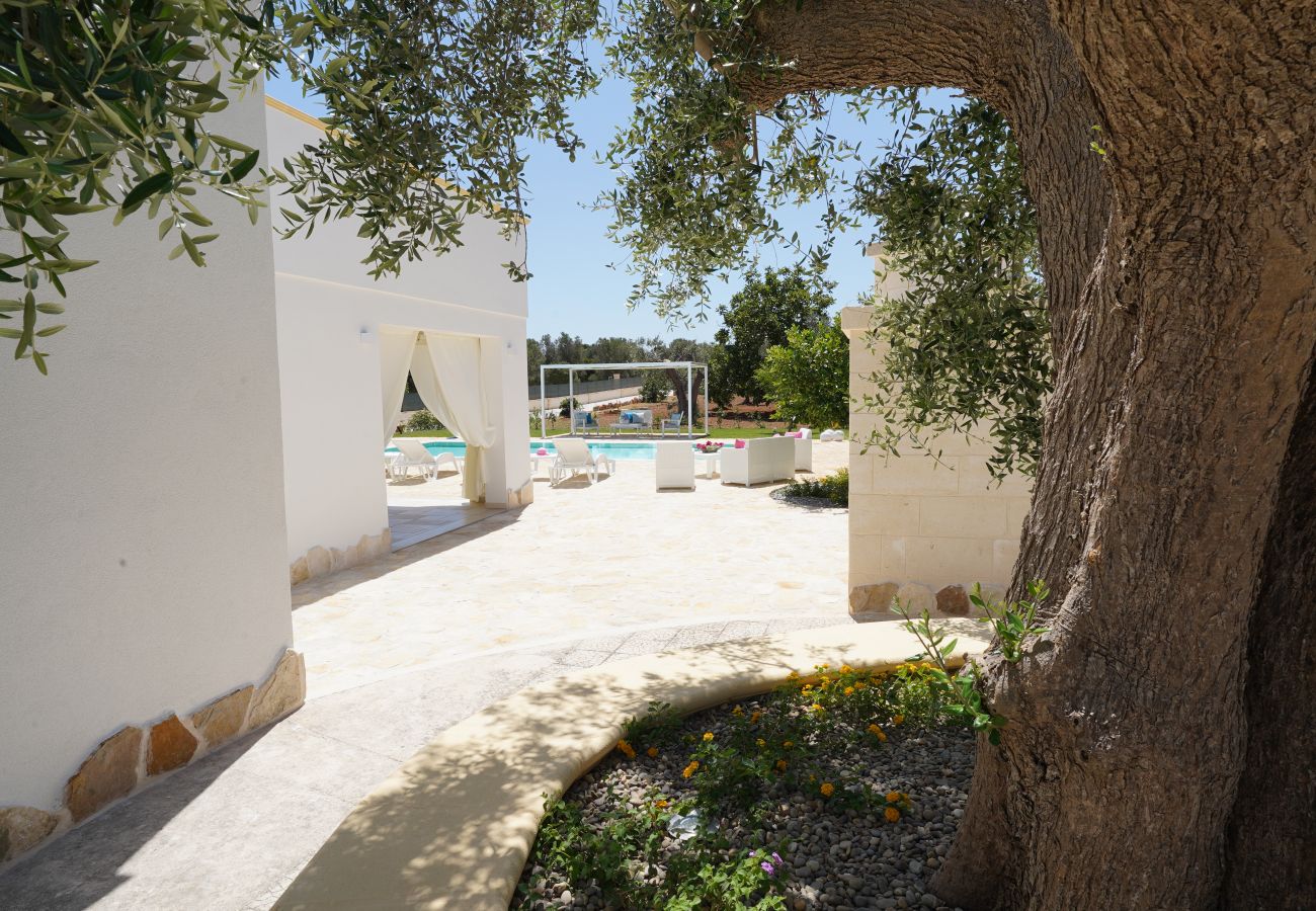 Trullo in San Michele Salentino - trullo lantane by Pugliadamre