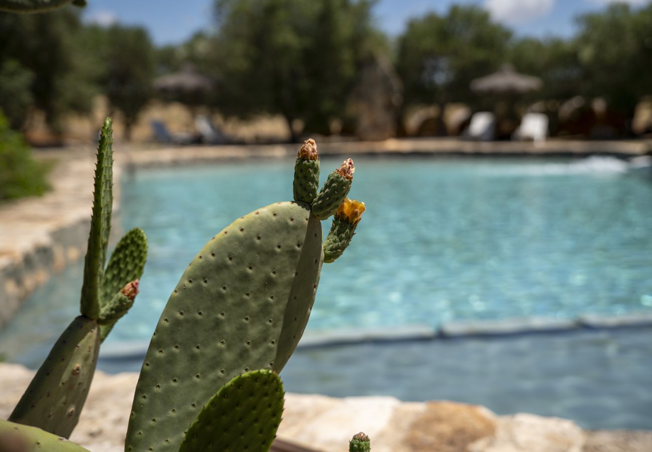 Cottage in Francavilla Fontana - Masseria Palmo by Pugliadamare