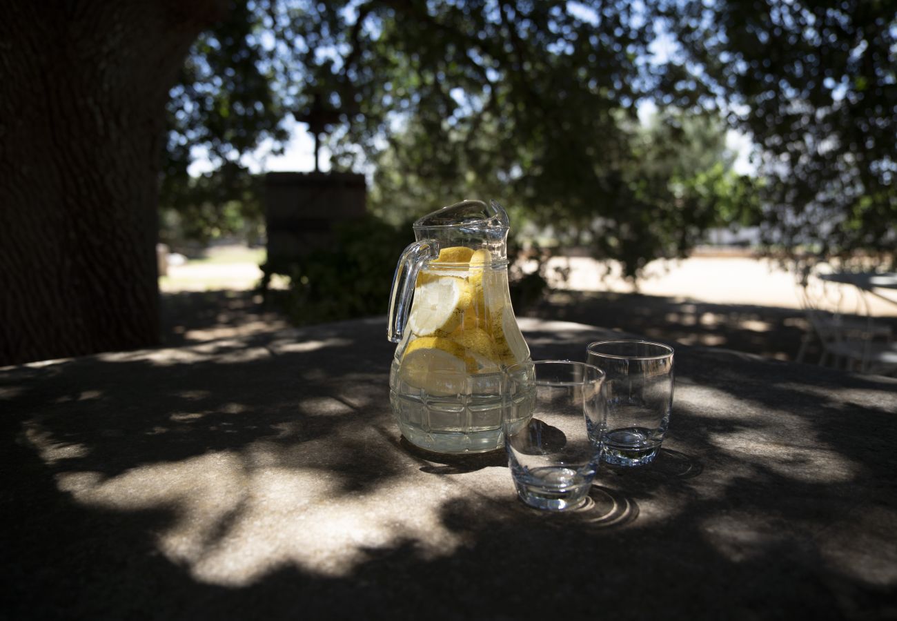 Cottage in Francavilla Fontana - Masseria Palmo by Pugliadamare