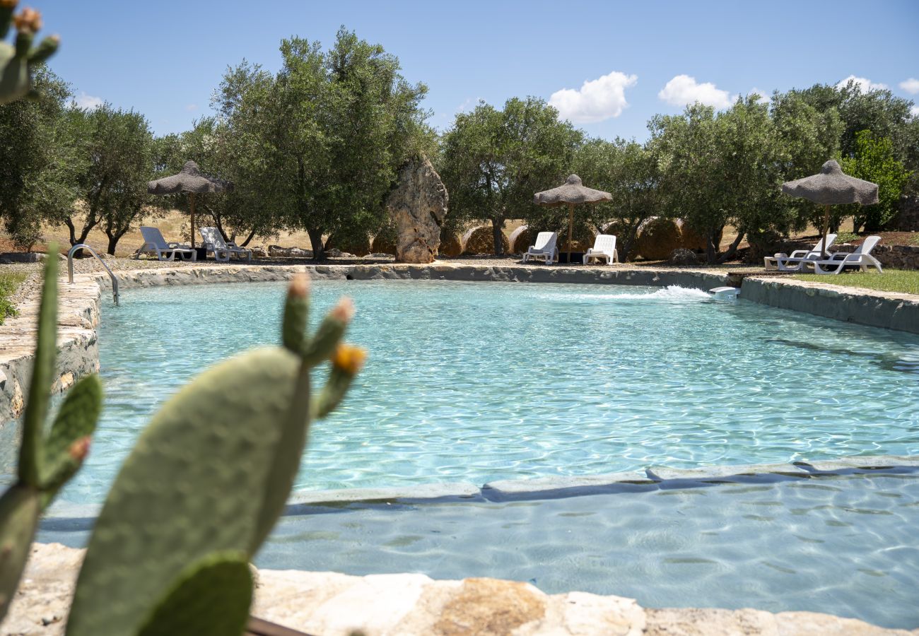 Cottage in Francavilla Fontana - Citrus Grove - Rooms at Masseria Palmo