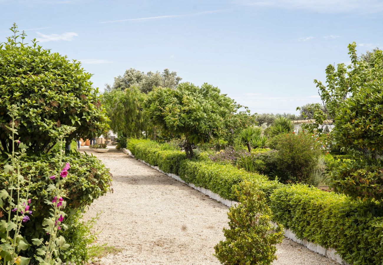 Trullo en San Vito dei Normanni - trullo oron call by pugliadamare