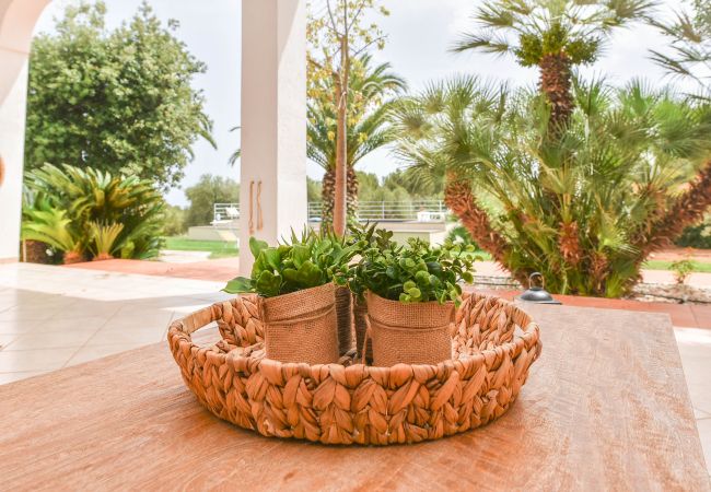 Villa en Ostuni - Villa privada en Ostuni, piscina privada y wifi vía satélite en Pugliadamare Villa en Ostuni - Villa privada en Ostuni, piscina privada y wifi vía satélite en Pugliadamare