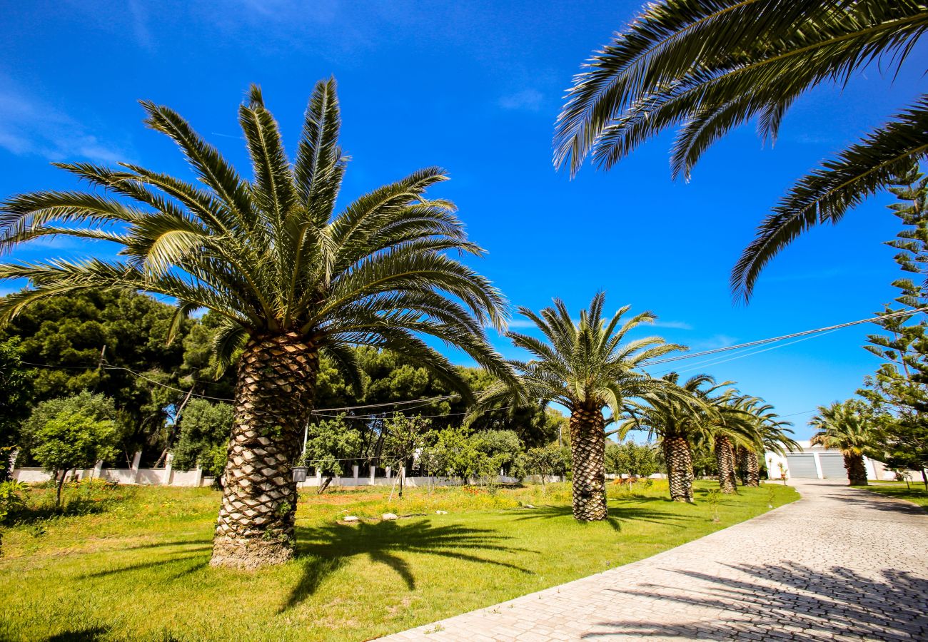 Villa en Ostuni - Villa privada en Ostuni, piscina privada y wifi vía satélite en Pugliadamare