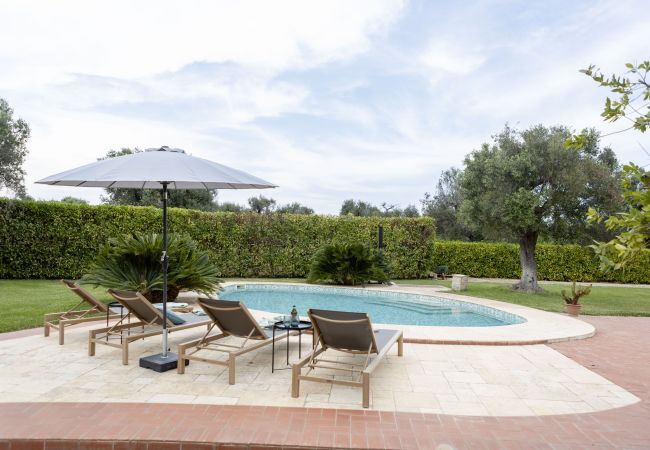 Trullo en San Vito dei Normanni - trullo raphael by pugliadamare Trullo en San Vito dei Normanni - trullo raphael by pugliadamare