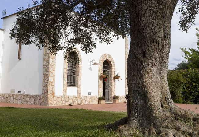 Trullo en San Vito dei Normanni - trullo raphael by pugliadamare Trullo en San Vito dei Normanni - trullo raphael by pugliadamare