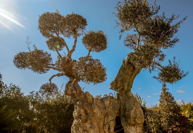 Villa en Martina Franca - Villa Caraitria by Pugliadamare Villa en Martina Franca - Villa Caraitria by Pugliadamare