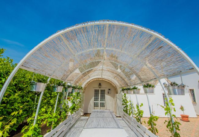 Trullo en Martina Franca - trullo nonna itria by pugliadamare  Trullo en Martina Franca - trullo nonna itria by pugliadamare