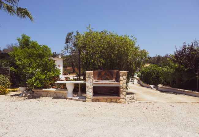 Trullo en San Vito dei Normanni - borgo della mimosa Trullo en San Vito dei Normanni - borgo della mimosa