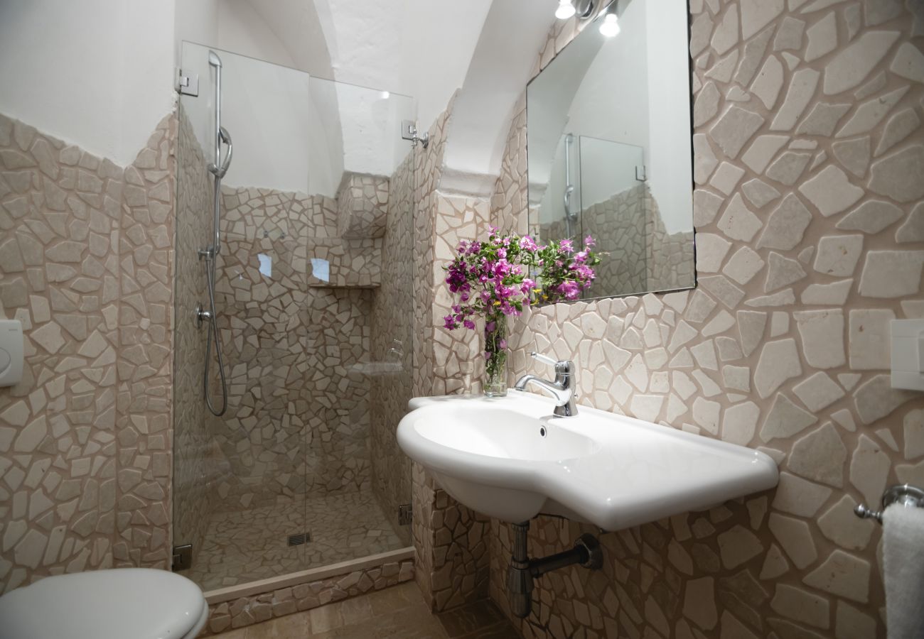 Casa rural en Francavilla Fontana - Viñedo - Habitaciones en Masseria Palmo