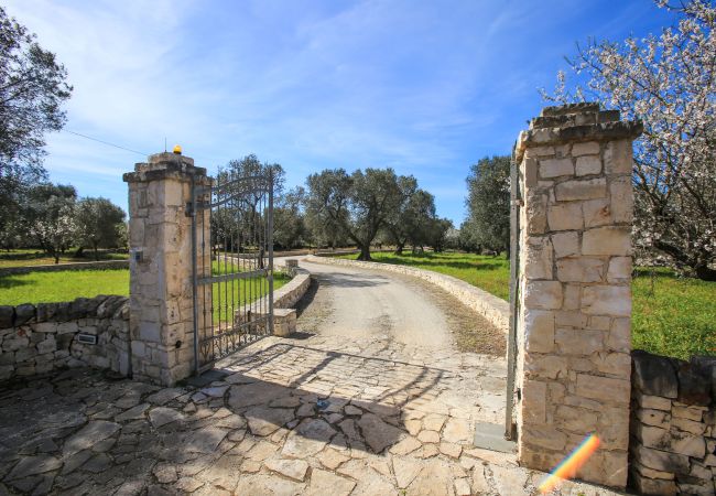 Trullo à San Michele Salentino - Trullo degli ulivi by pugliadamare Trullo à San Michele Salentino - Trullo degli ulivi by pugliadamare