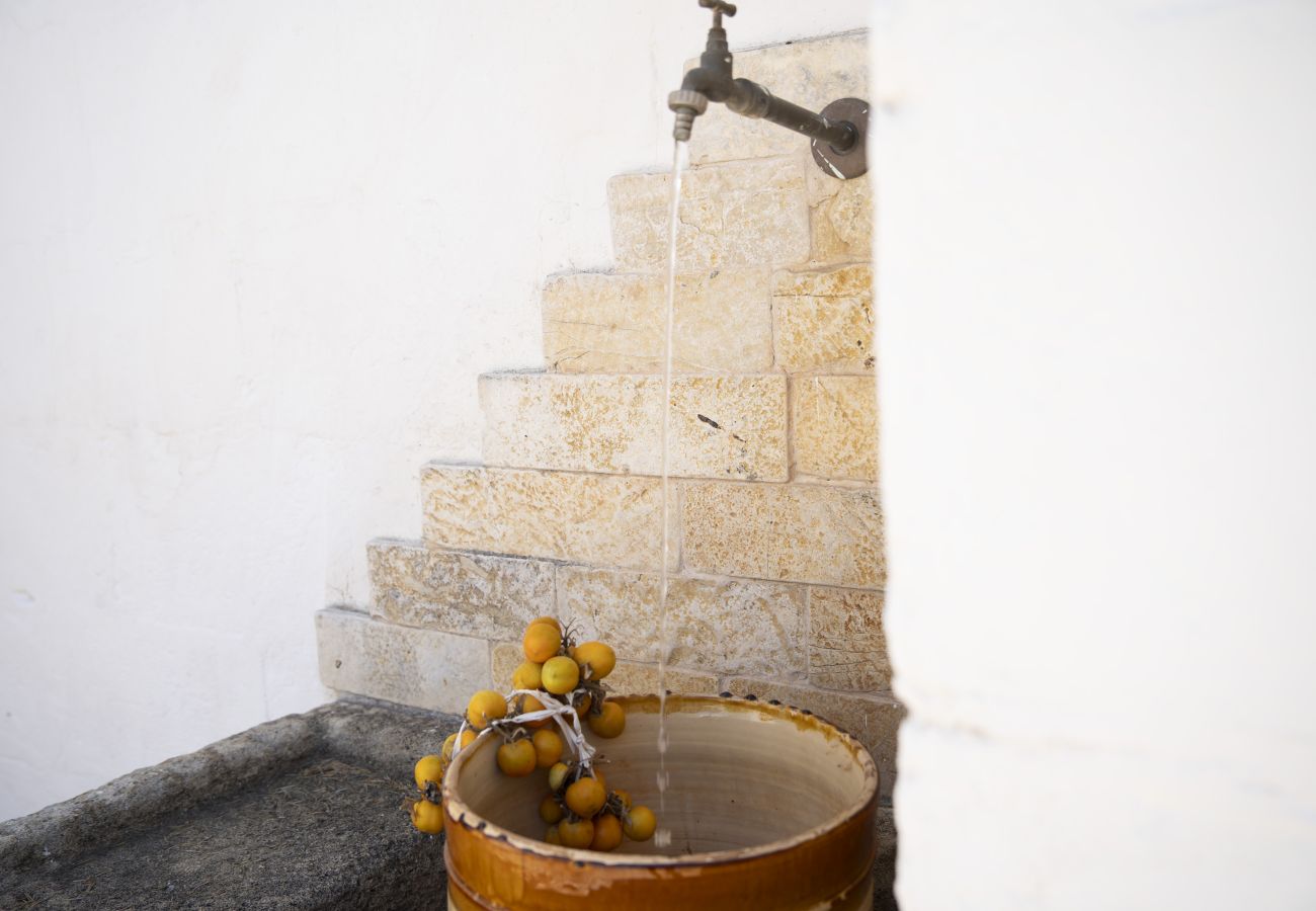 Gîte Rural à Francavilla Fontana - Vignoble - Chambres à Masseria Palmo