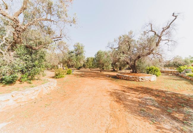 Trullo à Ceglie Messapica - Trullo Isabella by Pugliadamare Trullo à Ceglie Messapica - Trullo Isabella by Pugliadamare